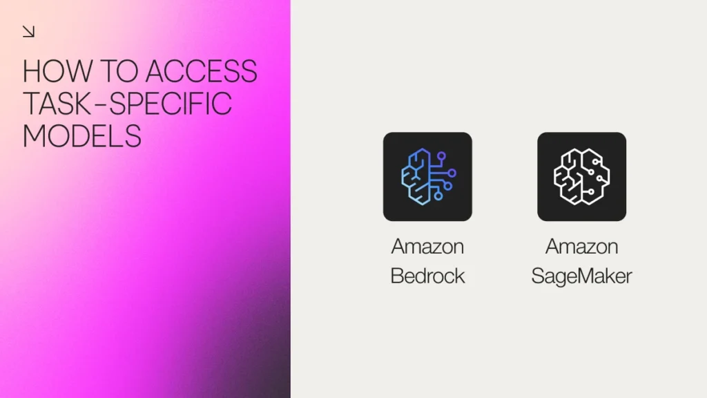 How to access Task Specific Models