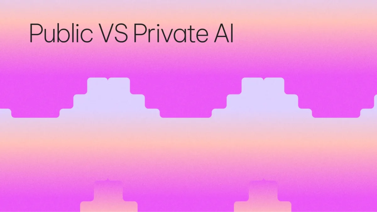 Public VS Private AI