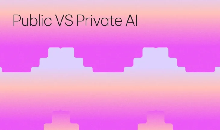 Public VS Private AI