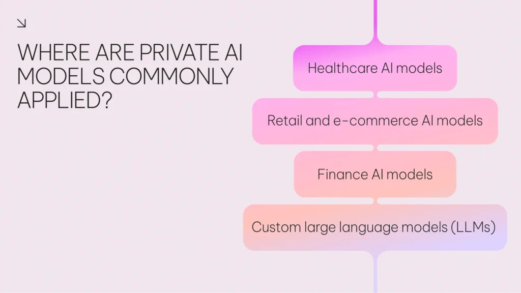 Where Are Private AI Models Commonly Applied?